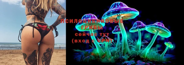 синтетический гашиш Гусиноозёрск