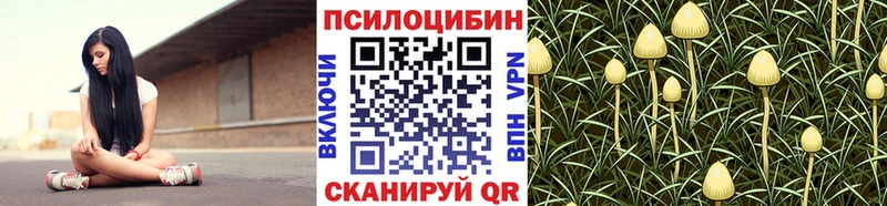 кракен как зайти  Новочебоксарск  Галлюциногенные грибы Psilocybine cubensis 
