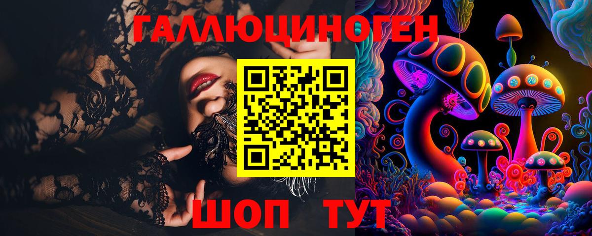 Псилоцибиновые грибы Psilocybe Новочебоксарск