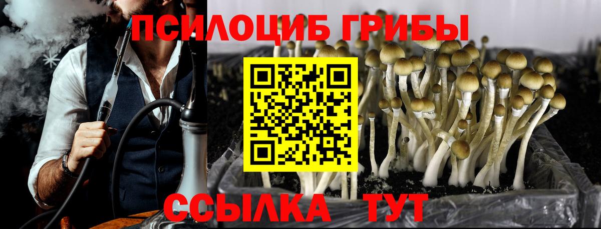 Новочебоксарск  Псилоцибиновые грибы MAGIC MUSHROOMS  Галлюциногенные грибы GOLDEN TEACHER  Вход с VPN 